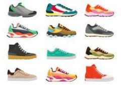 The Internet Income System (IIS) is a fully automated, done-for-you affiliate marketing business